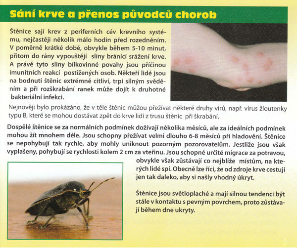 Přenos původců